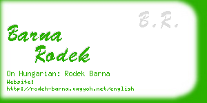 barna rodek business card